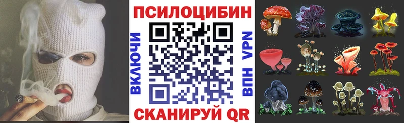 ссылка на мегу зеркало  Ливны  Псилоцибиновые грибы GOLDEN TEACHER 